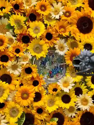 札幌諏訪神社の手水舎