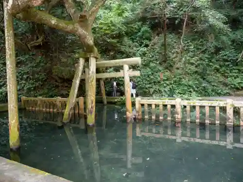 鹿島神宮(茨城県)