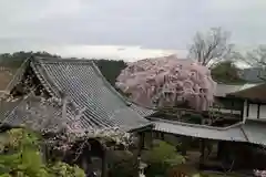 竹林院の景色