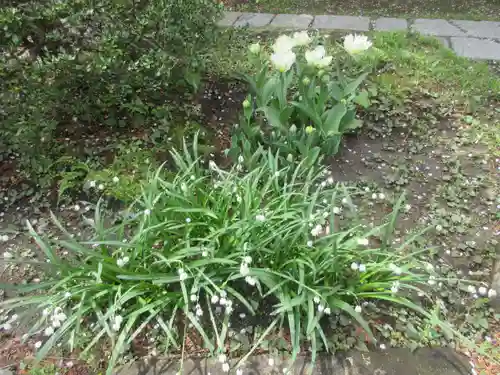 安國論寺（安国論寺）の自然