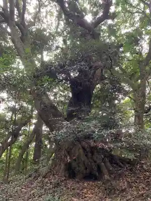 稲荷神社(千葉県)
