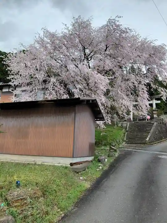 日吉神社(京都府)