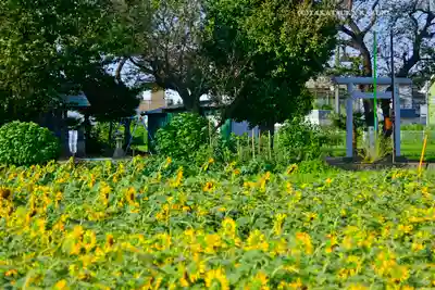 天照皇大神宮(神奈川県)