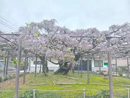 竹鼻別院(岐阜県)