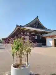 蓮華王院（三十三間堂）の本殿