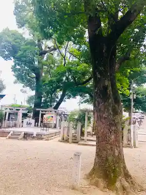 布忍神社(大阪府)