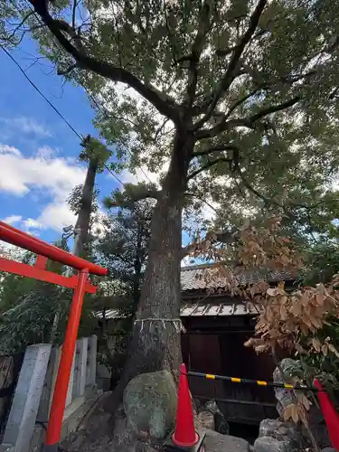 羊神社(愛知県)