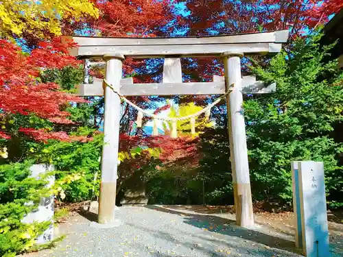 平岸天満宮・太平山三吉神社の鳥居