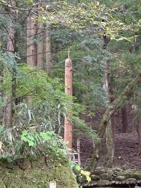 諏訪大社(長野県)