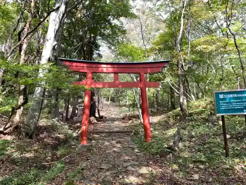 赤神神社の鳥居