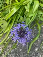 菅島神社(三重県)