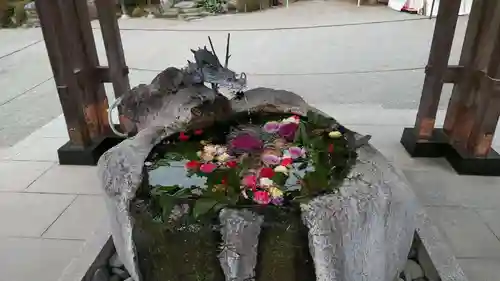 出雲大社相模分祠の手水舎