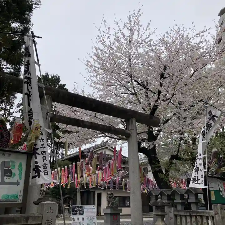 くまくま神社(導きの社 熊野町熊野神社)(東京都)
