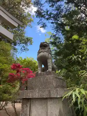 二本松神社の{uncategorized: "未分類", other: "その他", undefined: "問題あり", building: "その他建物", grave: "お墓", sacred_gate: "鳥居", guardian: "狛犬", statue: "像", buddha: "仏像", history: "歴史", nature: "自然", garden: "庭園", animal: "動物", pagoda: "塔", temizu: "手水舎", mountain_gate: "山門・神門", sanctuary: "本殿・本堂", subordinate: "末社・摂社", art: "芸術", scenery: "景色", jizo: "地蔵", ema: "絵馬", goshuin: "御朱印", omikuji: "おみくじ", items: "授与品その他", amulet: "お守り", goshuincho: "御朱印帳", eats: "食事", festival: "お祭り", votive_dance: "神楽", shichigosan: "七五三参", wedding: "結婚式", experience: "体験その他", initially: "初詣", around: "周辺", anti_infection: "感染症対策"}