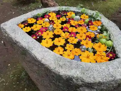 常陸第三宮　吉田神社の手水舎