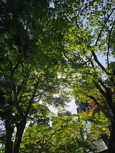 恵隆寺(立木千手観音)(福島県)