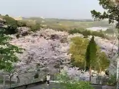 長谷寺(神奈川県)