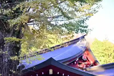 箱根神社(神奈川県)