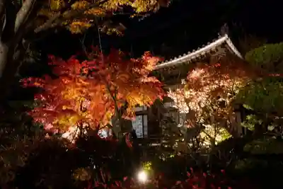 蓮光寺(山口県)