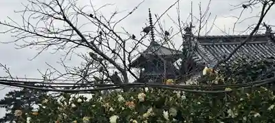 善通寺(香川県)