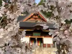 長谷寺(長野県)