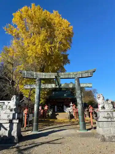 長沼八幡宮(栃木県)