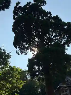 赤神神社(秋田県)