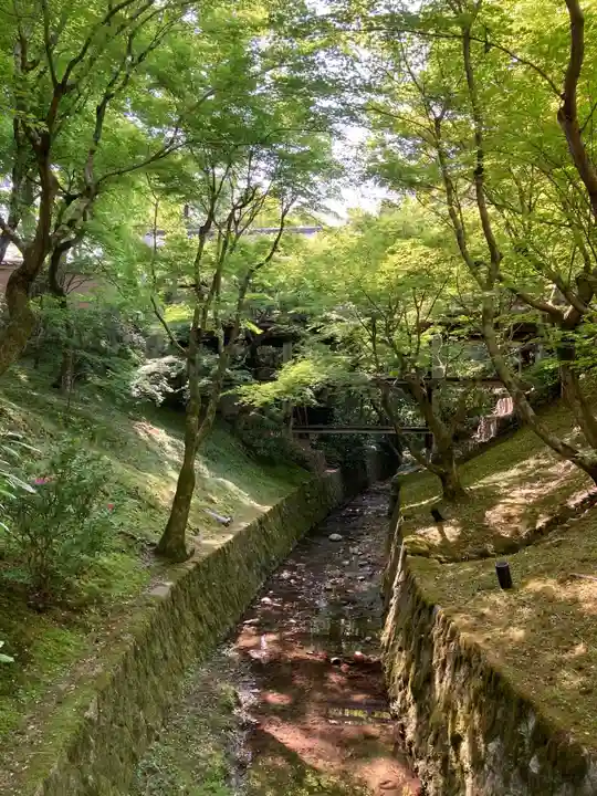 東福禅寺(東福寺)の自然