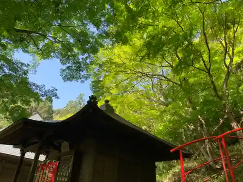 普門寺(切り絵御朱印発祥の寺)の本殿・本堂