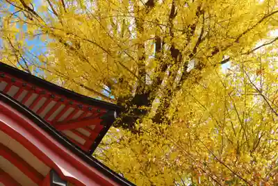 能満寺(山口県)