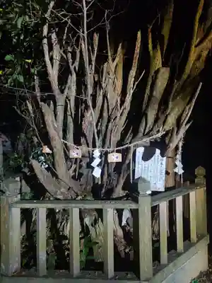 幣立神宮(熊本県)