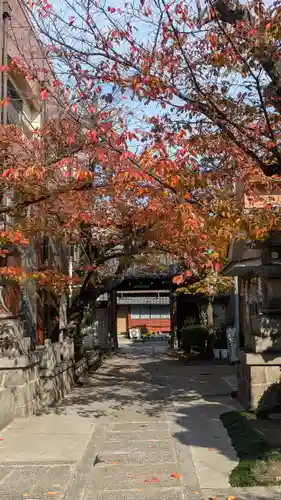 墨染寺（桜寺）(京都府)