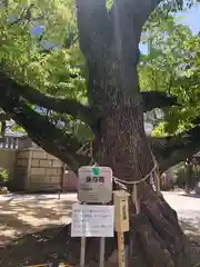 難波神社(大阪府)