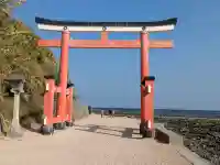 青島神社(青島神宮)の{uncategorized: "未分類", other: "その他", undefined: "問題あり", building: "その他建物", grave: "お墓", sacred_gate: "鳥居", guardian: "狛犬", statue: "像", buddha: "仏像", history: "歴史", nature: "自然", garden: "庭園", animal: "動物", pagoda: "塔", temizu: "手水舎", mountain_gate: "山門・神門", sanctuary: "本殿・本堂", subordinate: "末社・摂社", art: "芸術", scenery: "景色", jizo: "地蔵", ema: "絵馬", goshuin: "御朱印", omikuji: "おみくじ", items: "授与品その他", amulet: "お守り", goshuincho: "御朱印帳", eats: "食事", festival: "お祭り", votive_dance: "神楽", shichigosan: "七五三参", wedding: "結婚式", experience: "体験その他", initially: "初詣", around: "周辺", anti_infection: "感染症対策"}