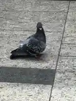 豊川稲荷(東京都)