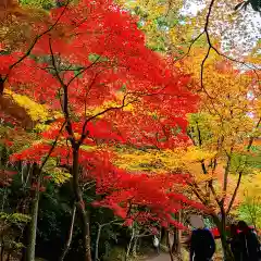 小國神社の自然