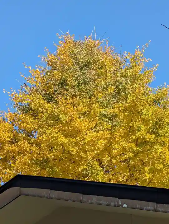 白幡八幡神社(神奈川県)