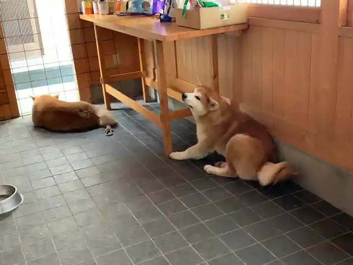 長泉寺(埼玉県)