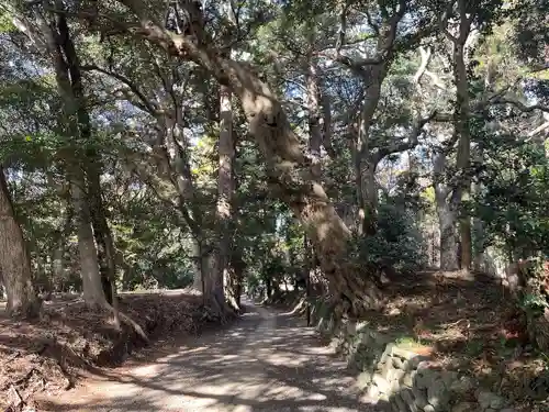 縣神社(千葉県)