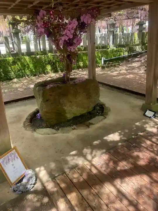 素盞鳴神社の手水舎