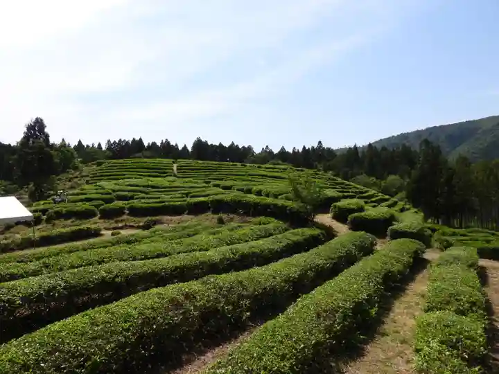 鶏足寺(滋賀県)
