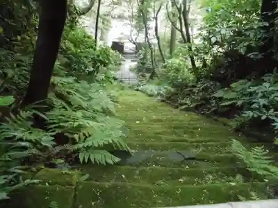 妙法寺のその他建物
