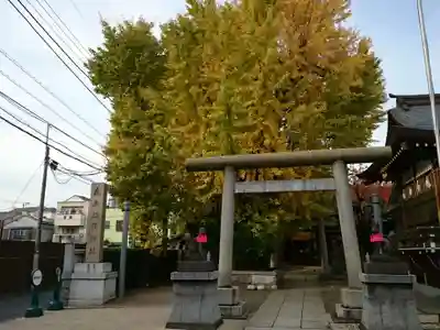 飛木稲荷神社の鳥居