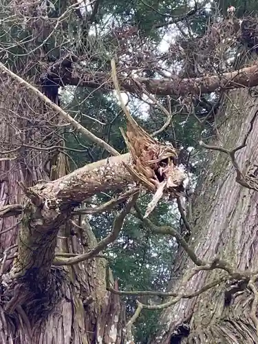 高岡神社(岡山県)