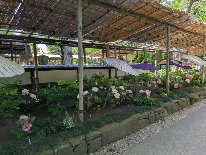 上野東照宮(東京都)