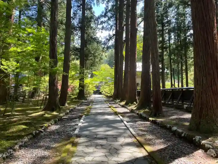 雲洞庵の{uncategorized: "未分類", other: "その他", undefined: "問題あり", building: "その他建物", grave: "お墓", sacred_gate: "鳥居", guardian: "狛犬", statue: "像", buddha: "仏像", history: "歴史", nature: "自然", garden: "庭園", animal: "動物", pagoda: "塔", temizu: "手水舎", mountain_gate: "山門・神門", sanctuary: "本殿・本堂", subordinate: "末社・摂社", art: "芸術", scenery: "景色", jizo: "地蔵", ema: "絵馬", goshuin: "御朱印", omikuji: "おみくじ", items: "授与品その他", amulet: "お守り", goshuincho: "御朱印帳", eats: "食事", festival: "お祭り", votive_dance: "神楽", shichigosan: "七五三参", wedding: "結婚式", experience: "体験その他", initially: "初詣", around: "周辺", anti_infection: "感染症対策"}