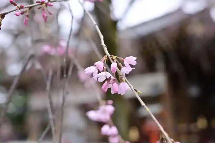 鈴鹿明神社の自然