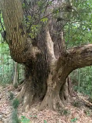 相馬高神社(千葉県)