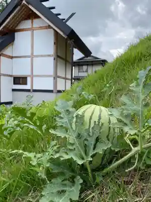 白山姫神社の自然