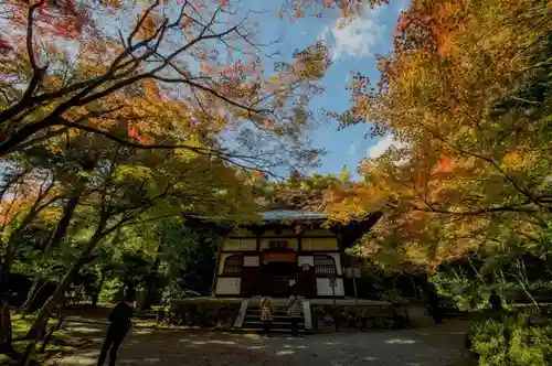 地蔵院の本殿